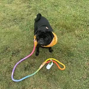 Dog Rope Leash - Caroline