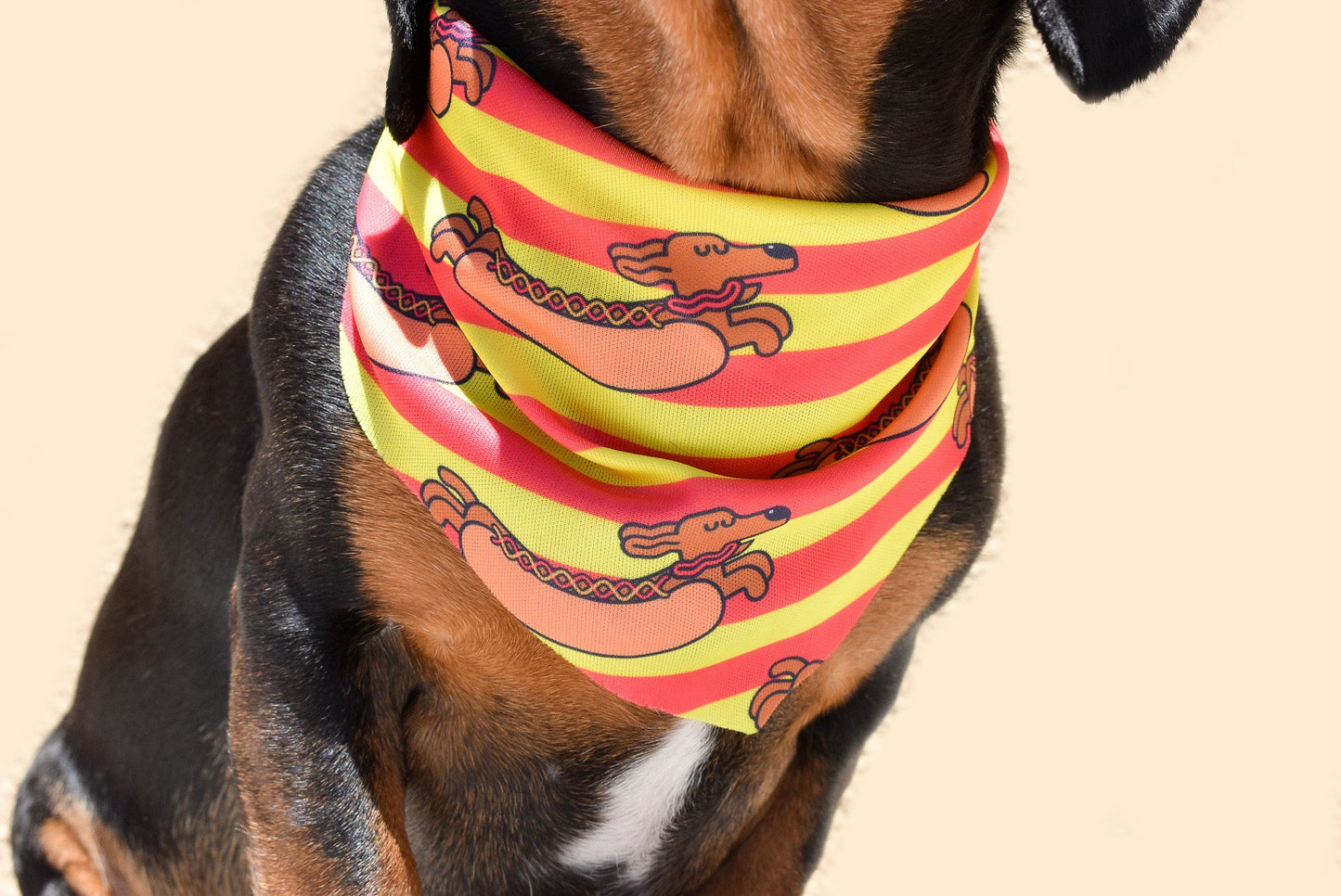 Hot Dawg Lover Bandana